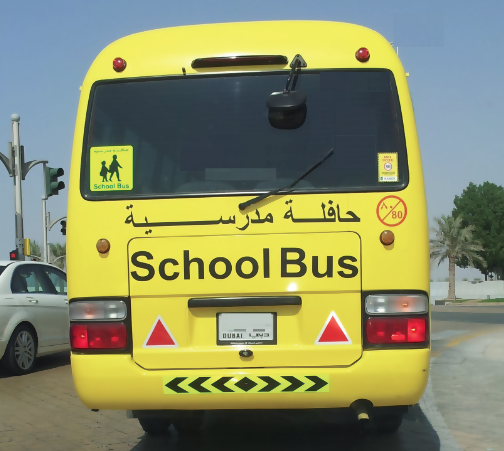 school bus, education, school travel, yellow bus, yellow bus, school bus service, school transport service
