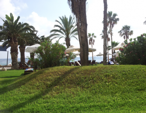beach, garden, coral beach hotel, holiday, beach front, R&R, cyprus